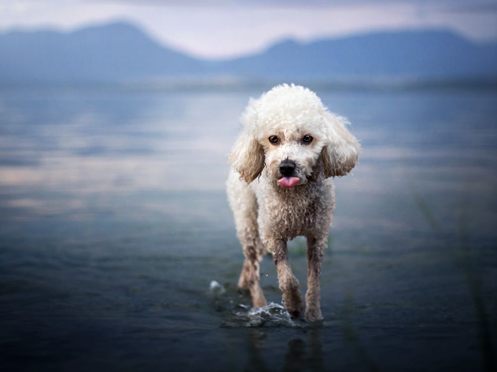 Photograph by Dorota Hnatová