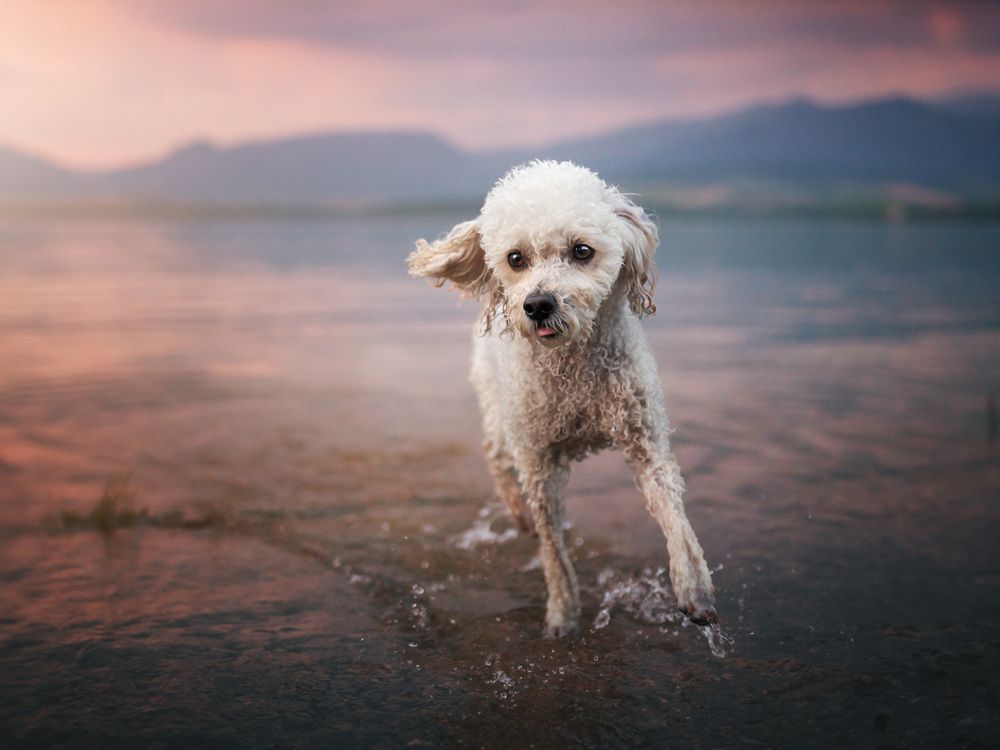 Photograph by Dorota Hnatová