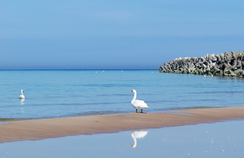 Photograph by Aleksandra Bistrova