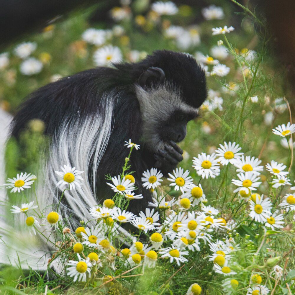 Photograph by Ксения Шилина