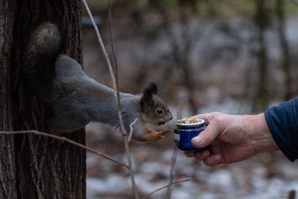 Photograph by Ксения Шилина