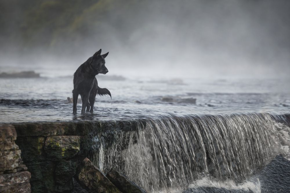 Photograph by Яна Нарбутович