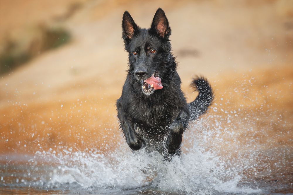 Photograph by Яна Нарбутович