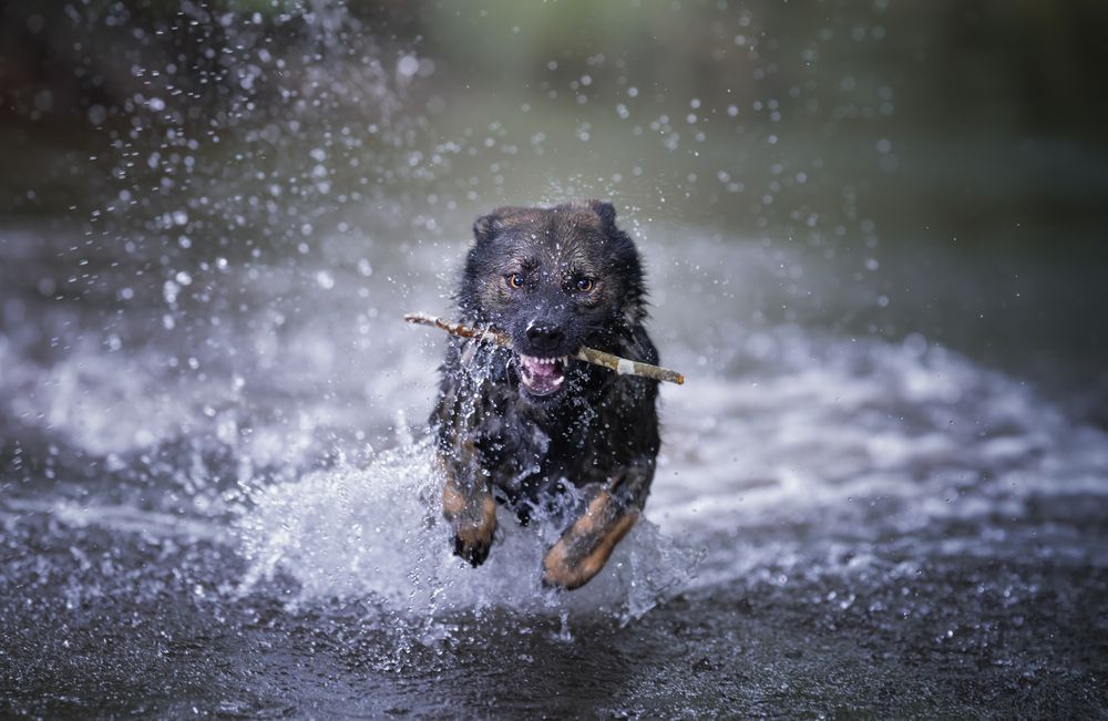 Photograph by Alfonso Maseda Varela