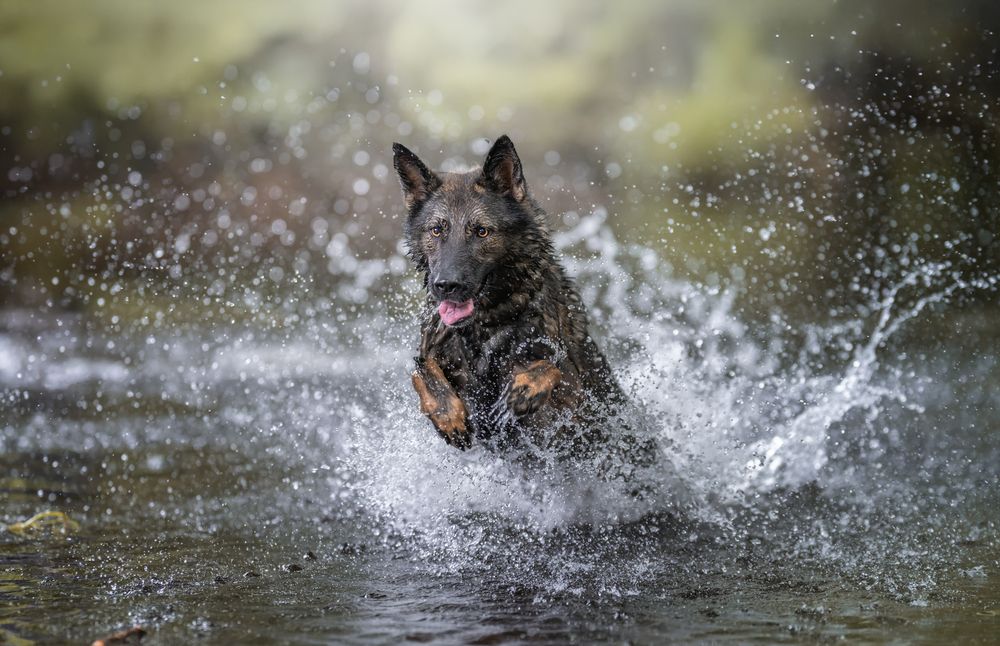 Photograph by Alfonso Maseda Varela