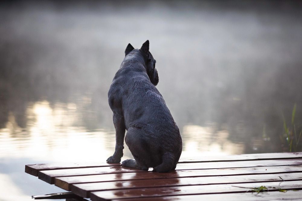 Photograph by Наталия Чистякова