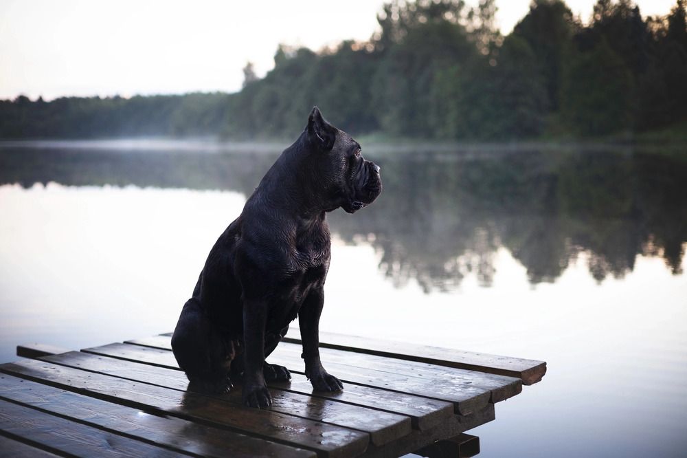 Photograph by Наталия Чистякова