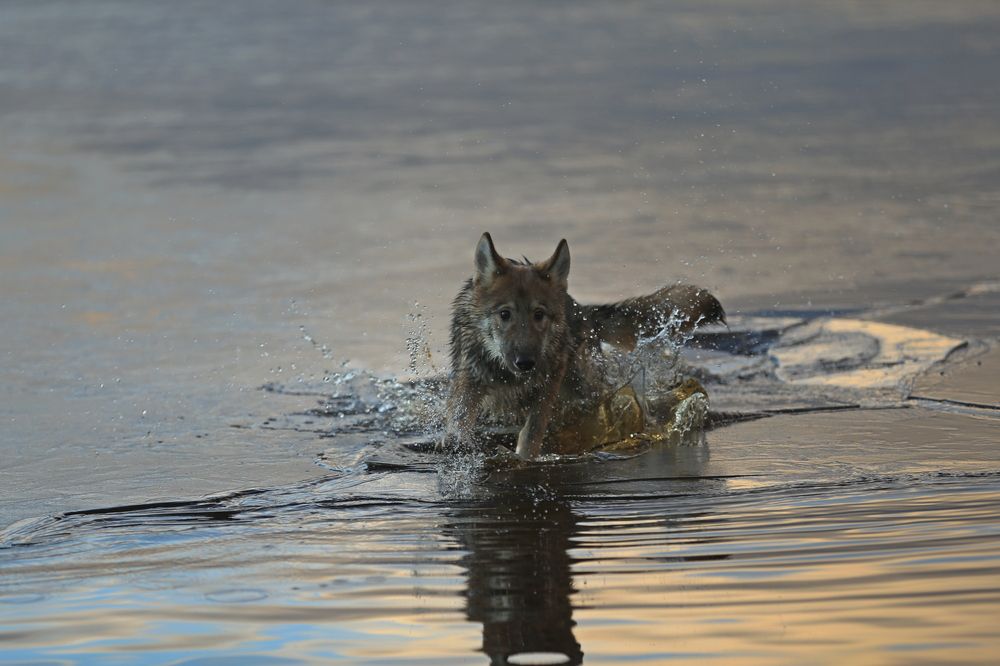 Фотография автора Юрий Кетель