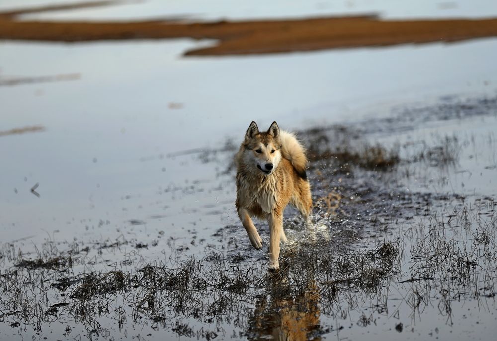 Фотография автора Юрий Кетель