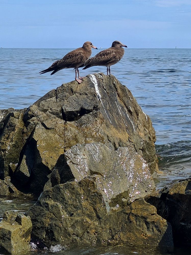 Photograph by Любовь Василенко