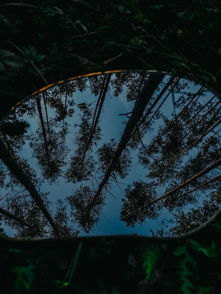 Photograph by Ольга Мазитова
