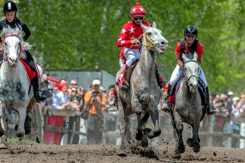 Photograph by Константин Тучин