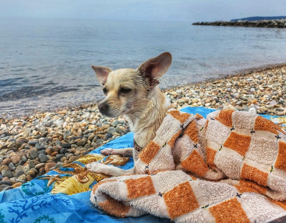 Photograph by Юлия Коробкова