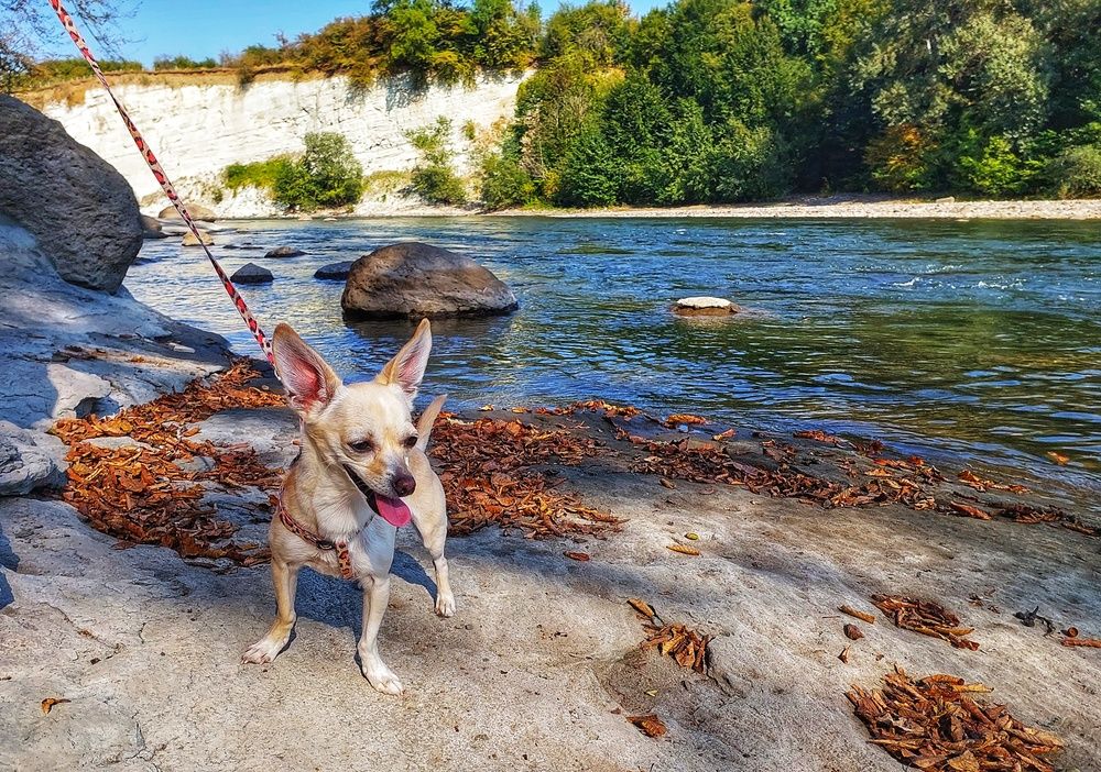 Photograph by Юлия Коробкова