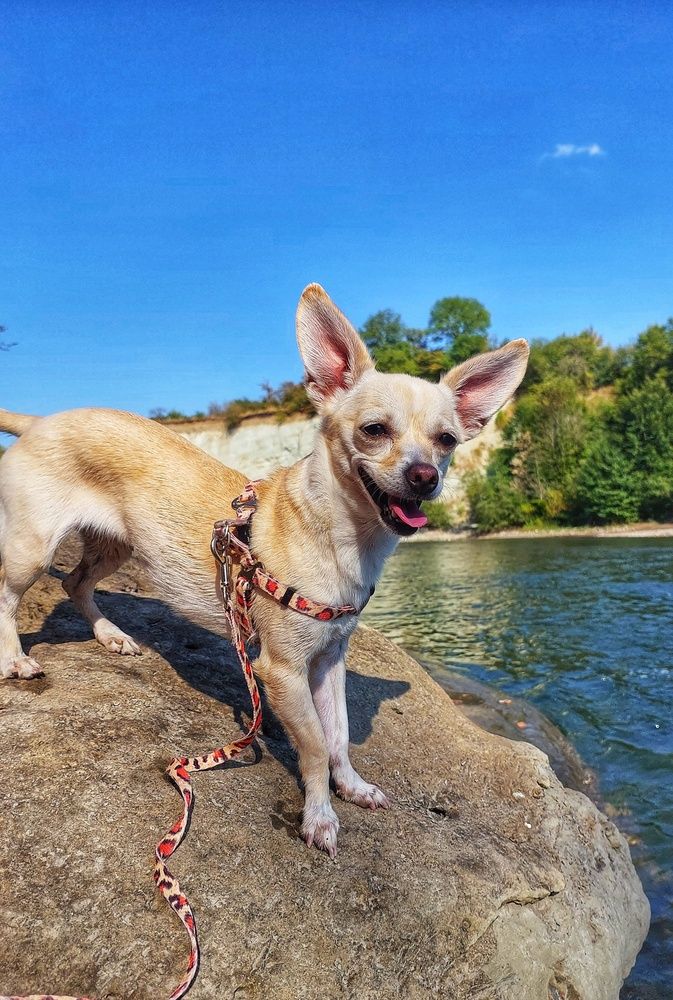 Photograph by Юлия Коробкова