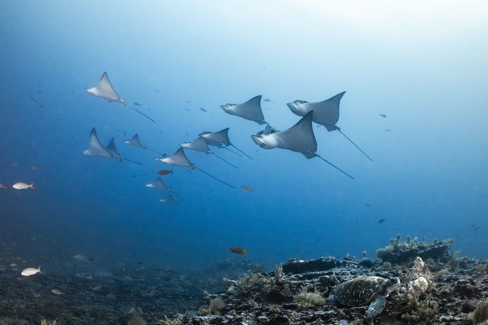 Photograph by Fabi Fregonesi