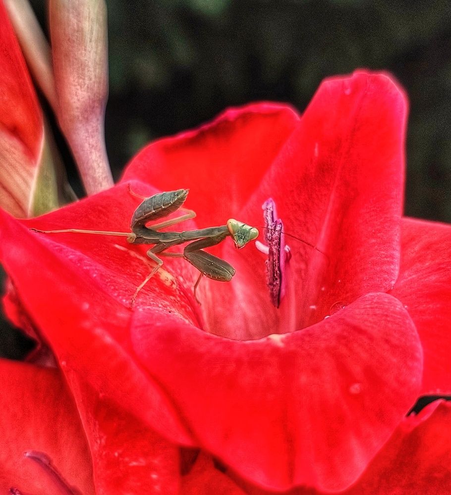 Photograph by Юлия Коробкова