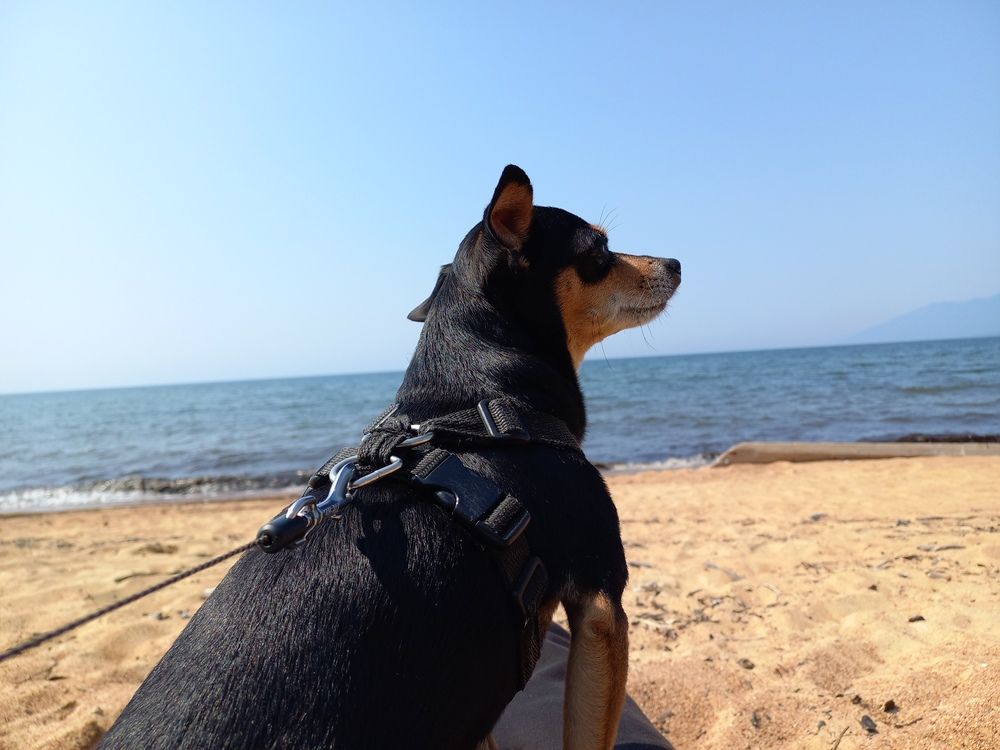 Photograph by Андрей Корытов