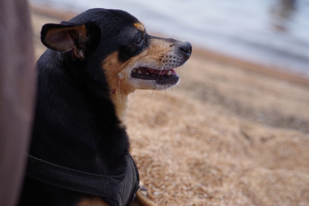 Photograph by Андрей Корытов