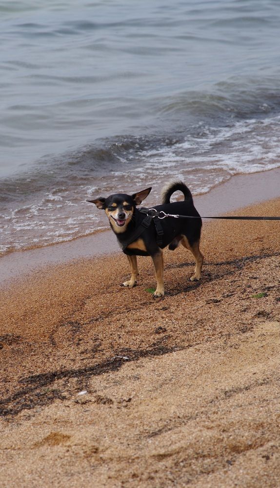 Photograph by Андрей Корытов