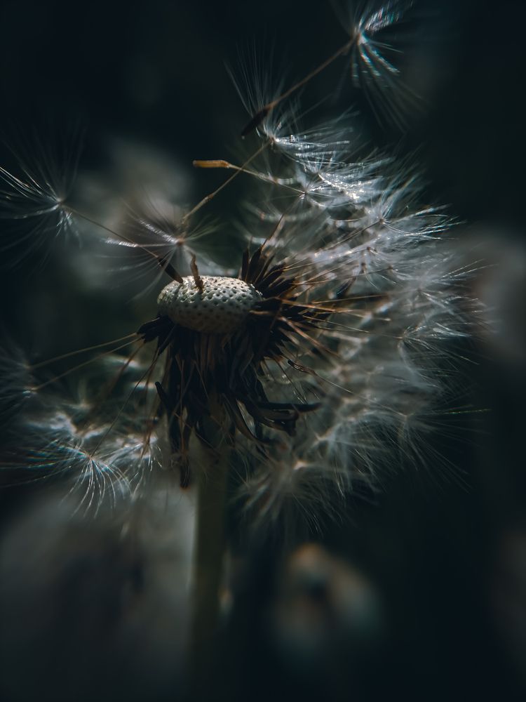 Photograph by Ольга Мазитова
