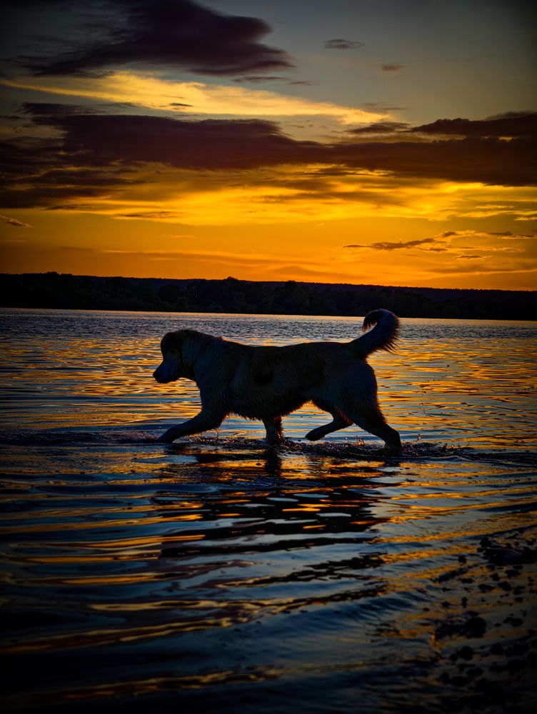 Photograph by Konstantin Martynov