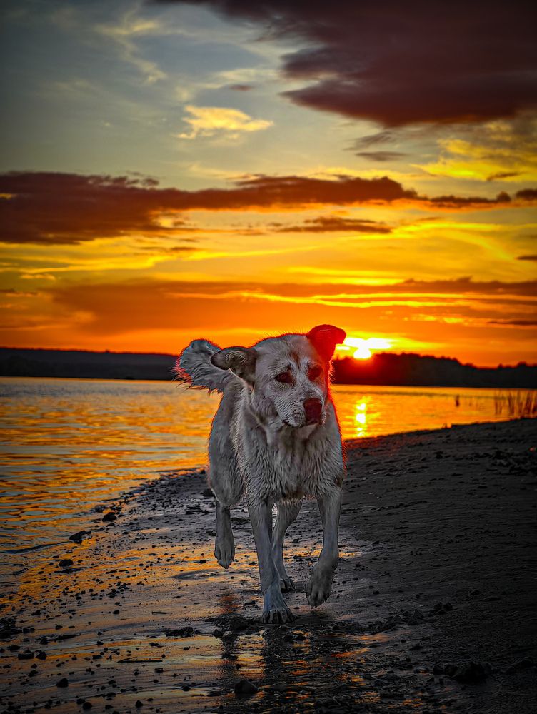 Photograph by Konstantin Martynov