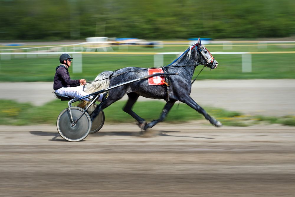 Photograph by Александр Перегудов