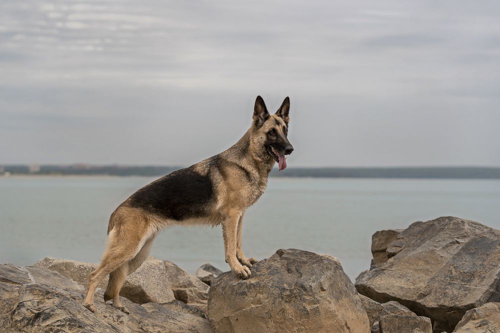 Photograph by Ольга Ченцова