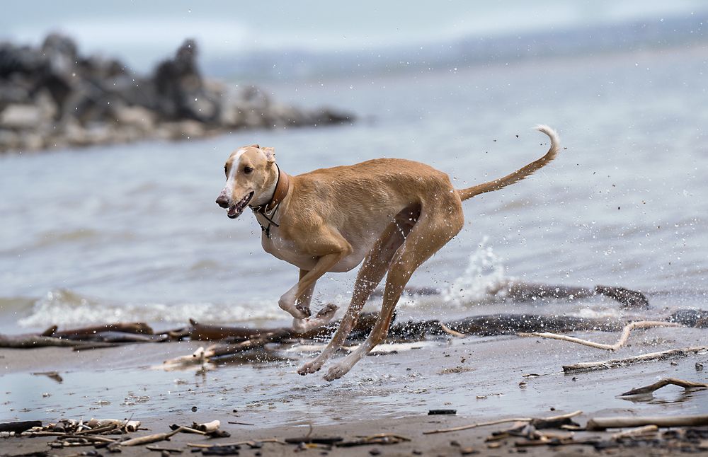 Photograph by Ольга Ченцова