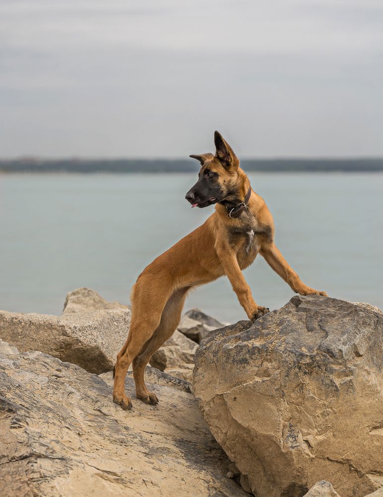 Photograph by Ольга Ченцова