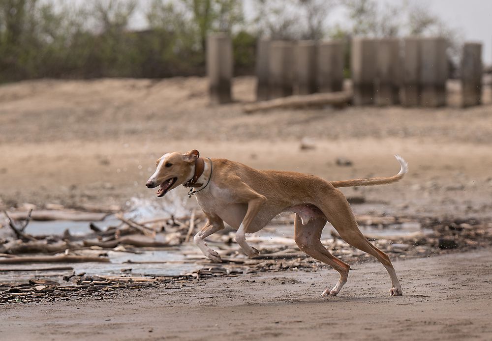 Photograph by Ольга Ченцова