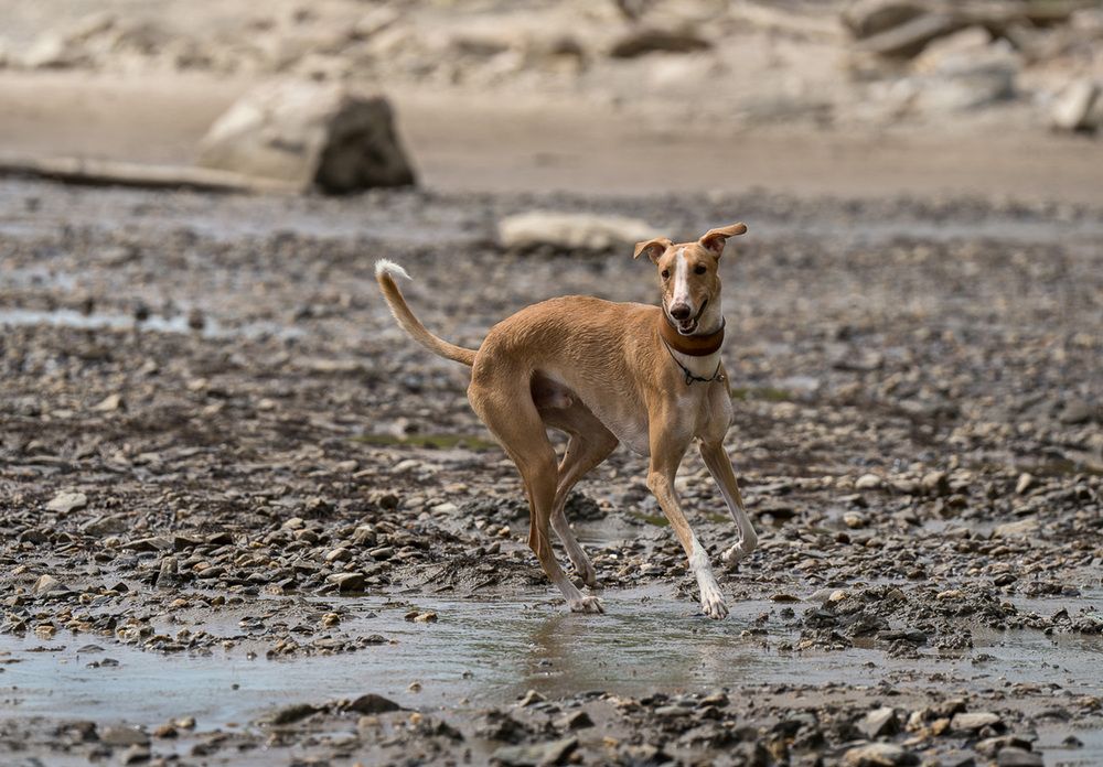 Photograph by Ольга Ченцова