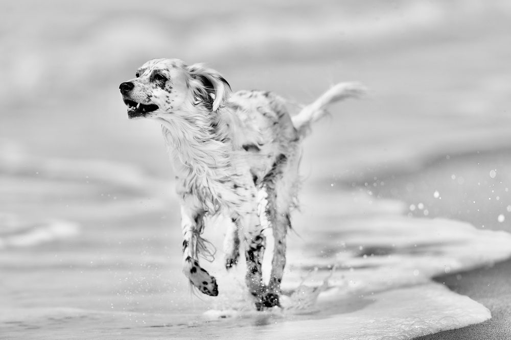 At the tip of a finger