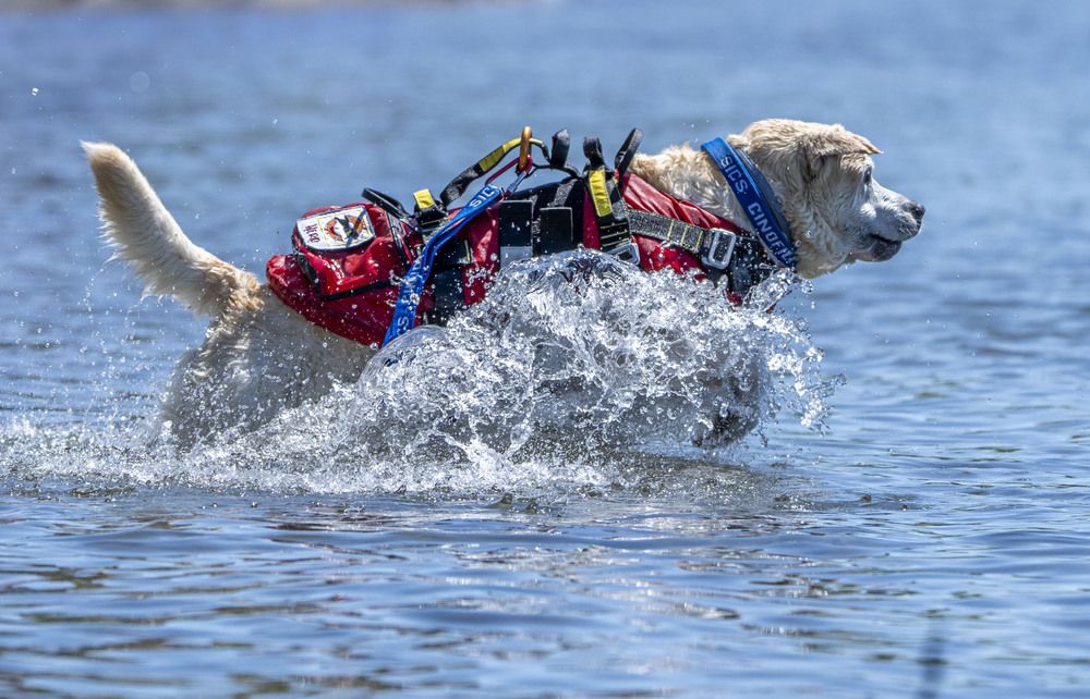 At the tip of a finger