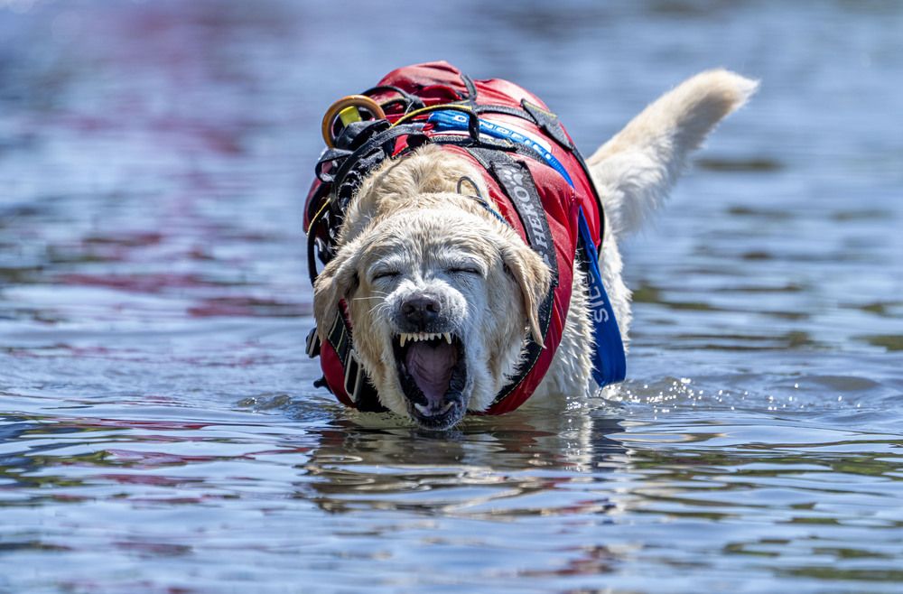 At the tip of a finger