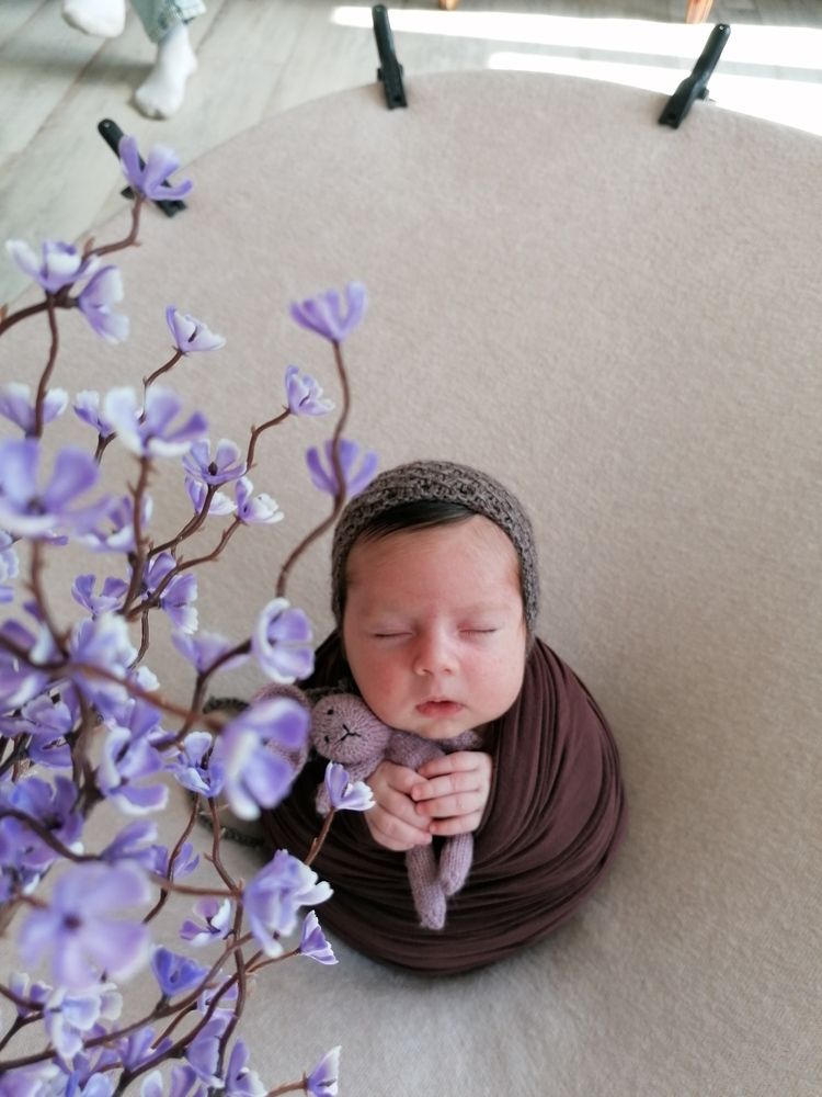 Photo #12433464