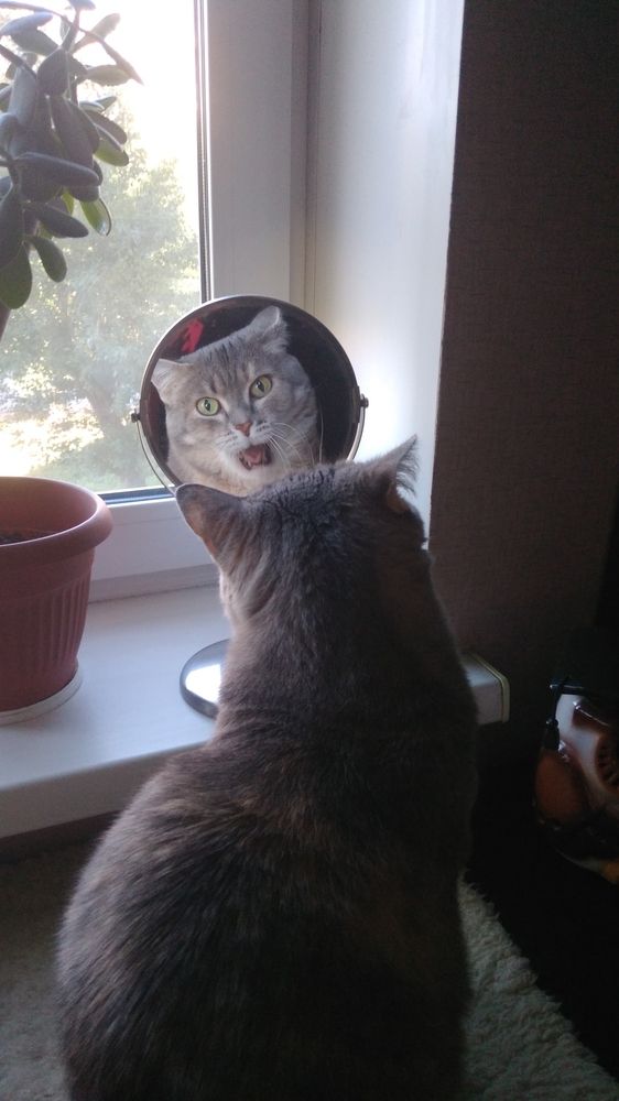 Photograph by Елена Абрамова