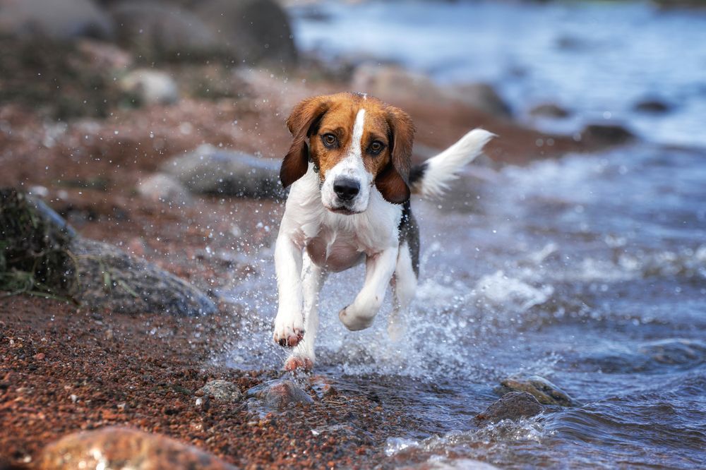 Photograph by Зубкова Юлия