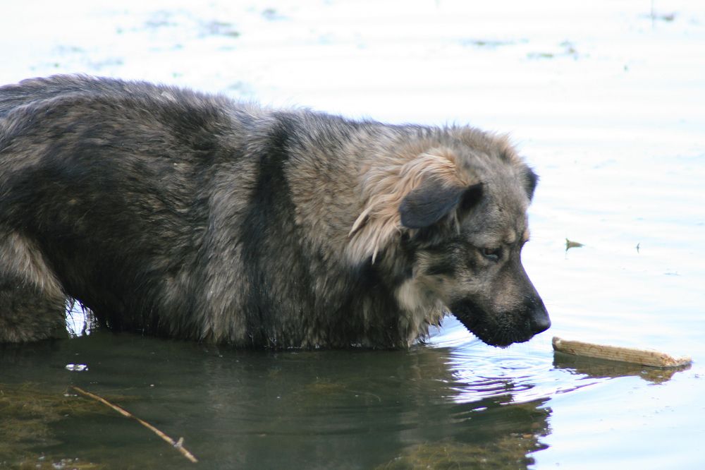 Photograph by Юлия Ханналайнен