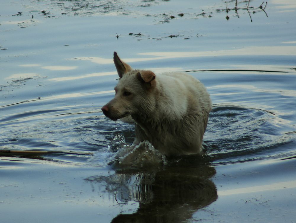 Photograph by Юлия Ханналайнен
