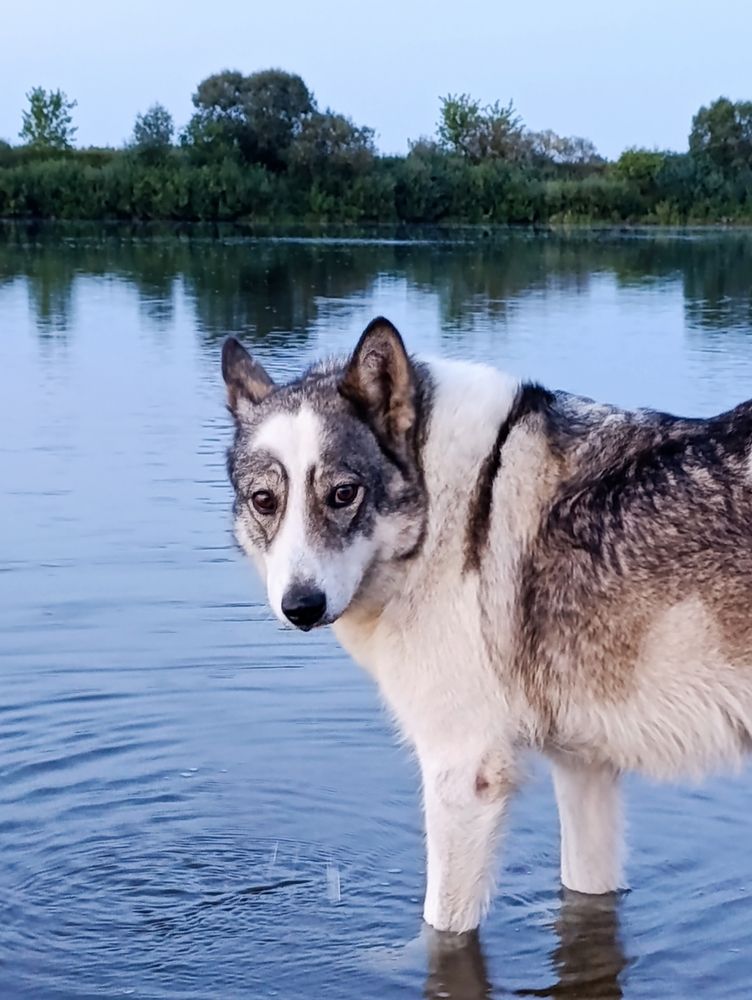 Photograph by Светлана Таркан