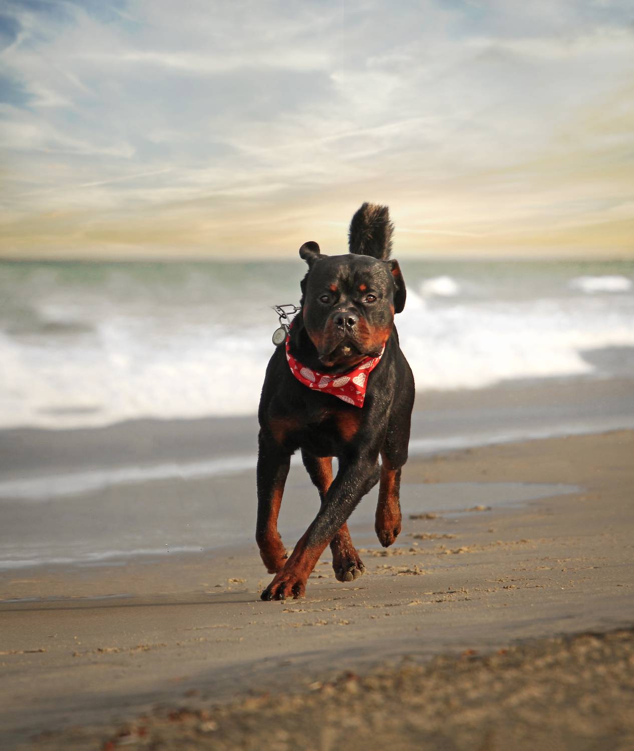 Photo #12433614