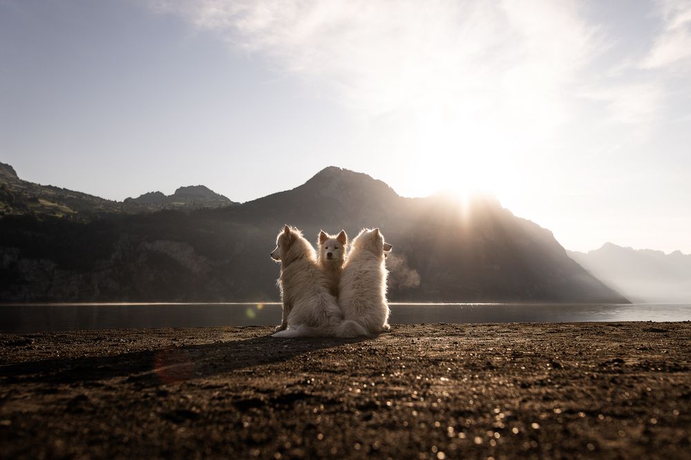 Photograph by Fabienne Gassmann