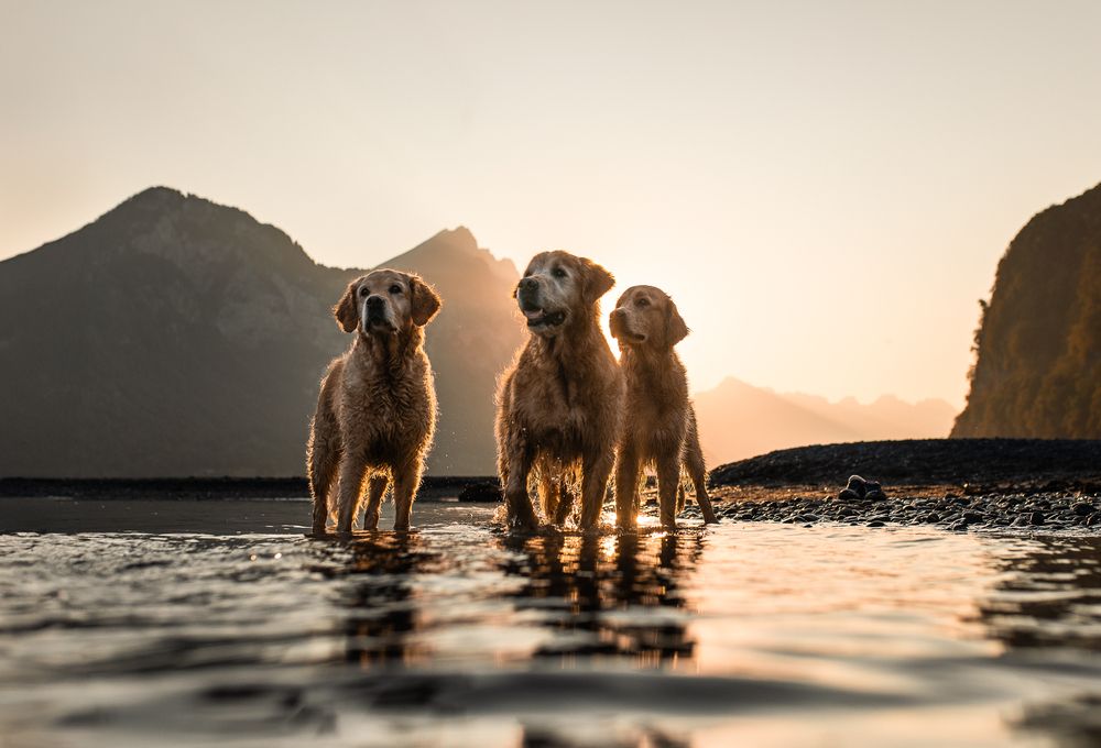 Photograph by Fabienne Gassmann