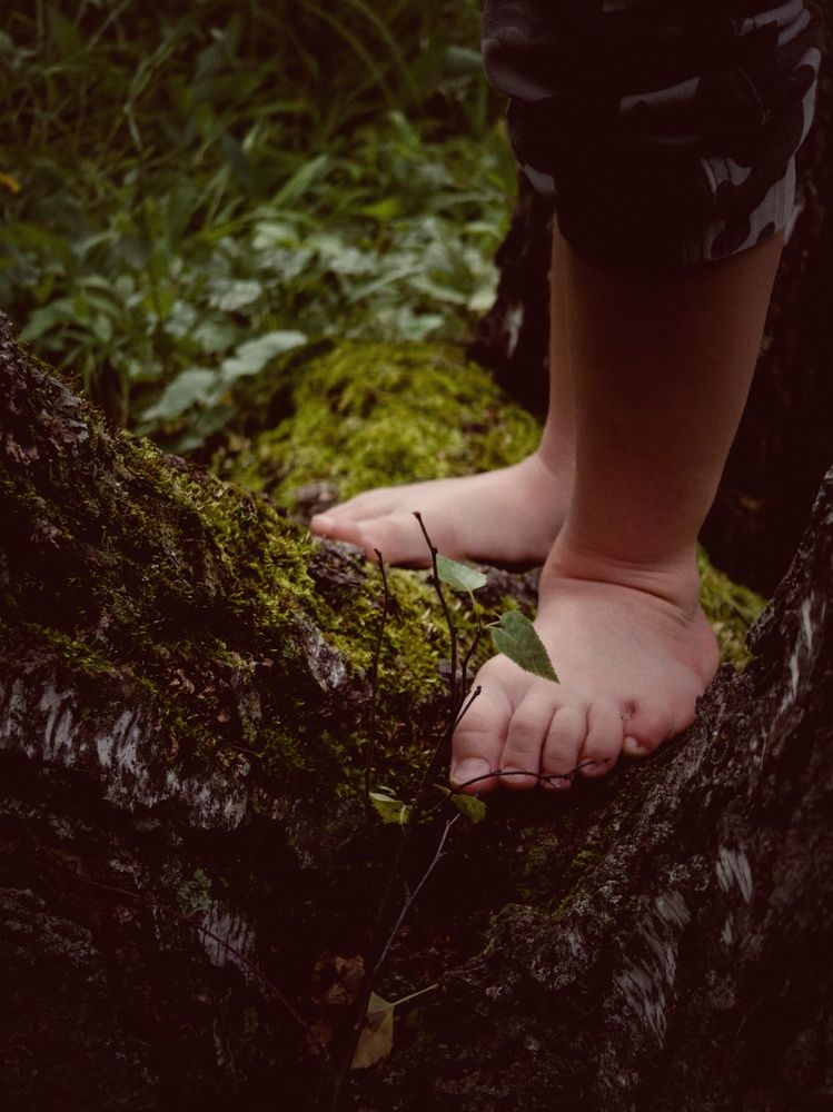 Photograph by Елена Раздрогова