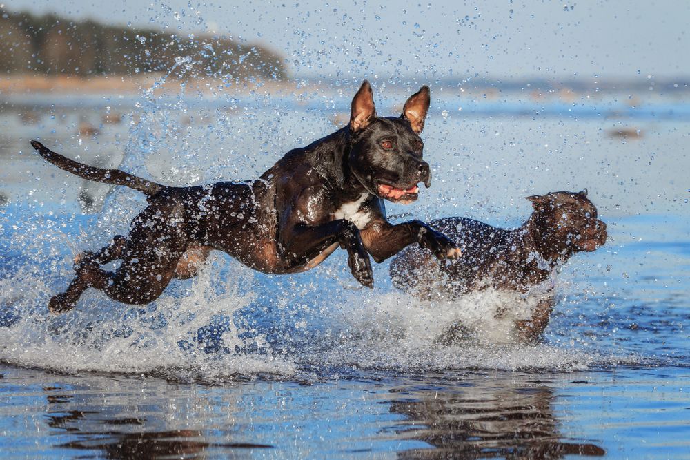 Photograph by Зубкова Юлия