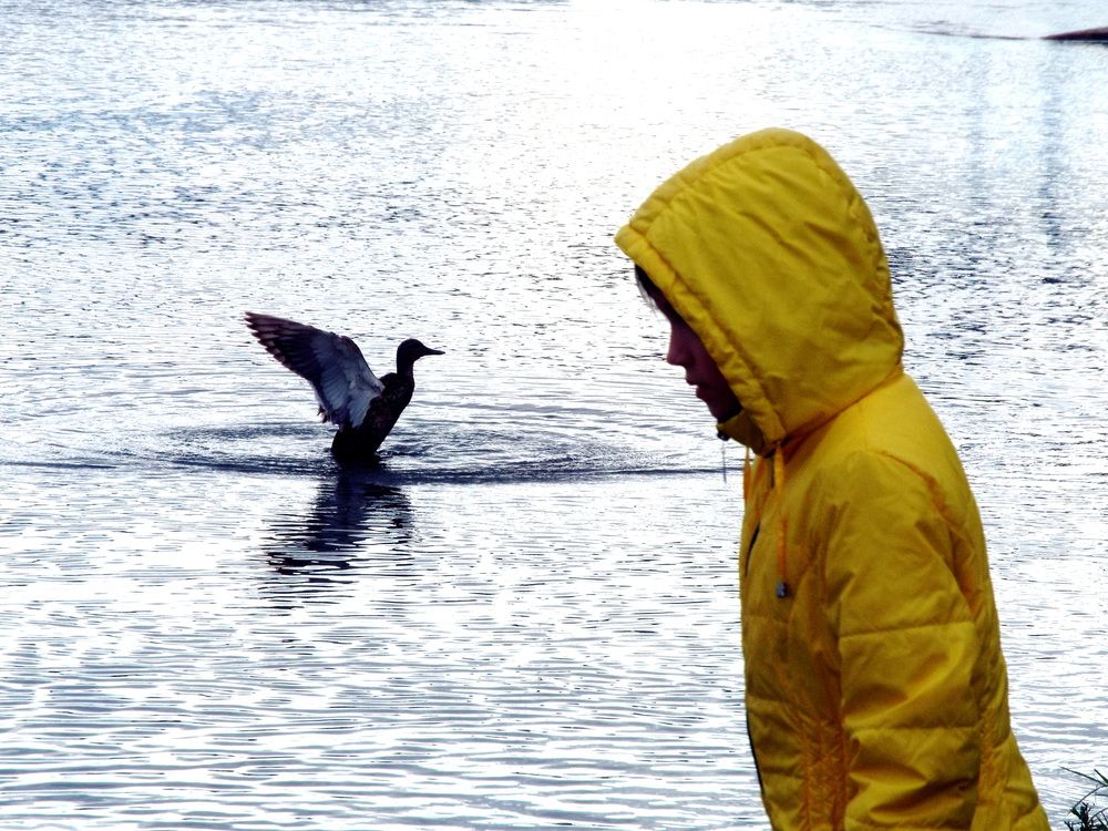 Photograph by Александр Бастраков