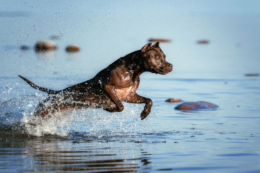 Photograph by Зубкова Юлия