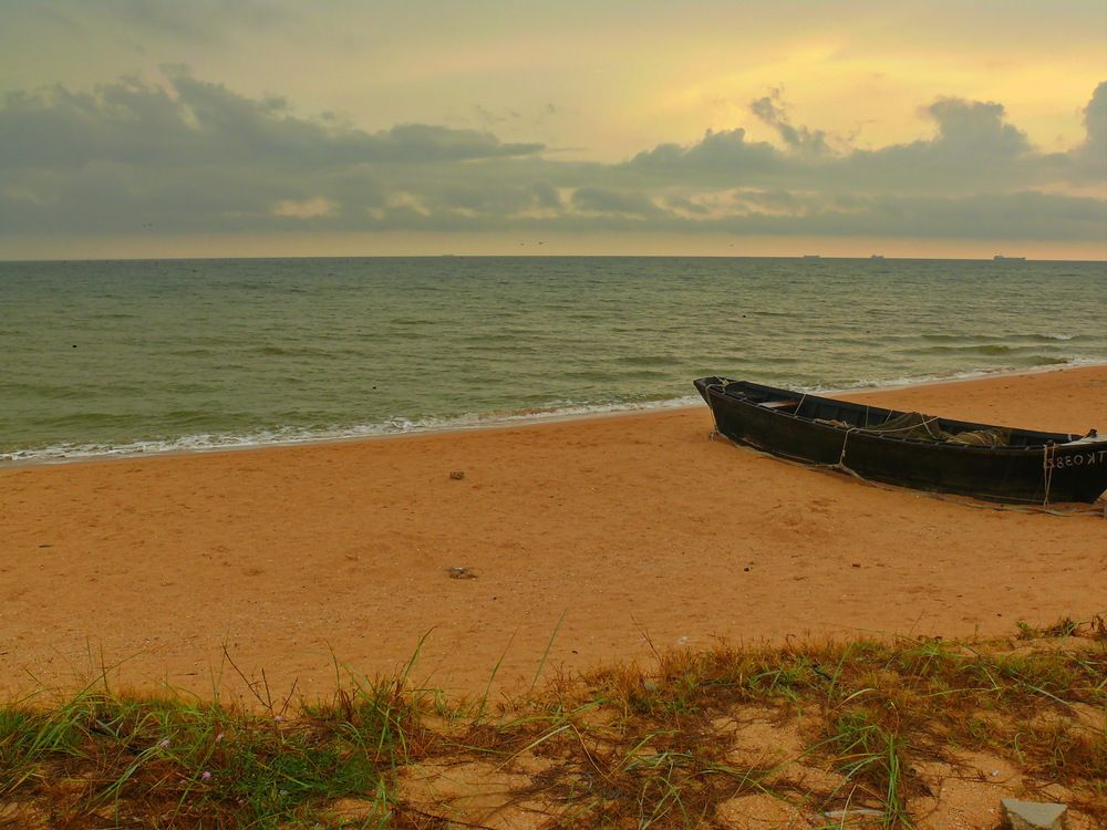 Фотография автора Анатолий Борисов